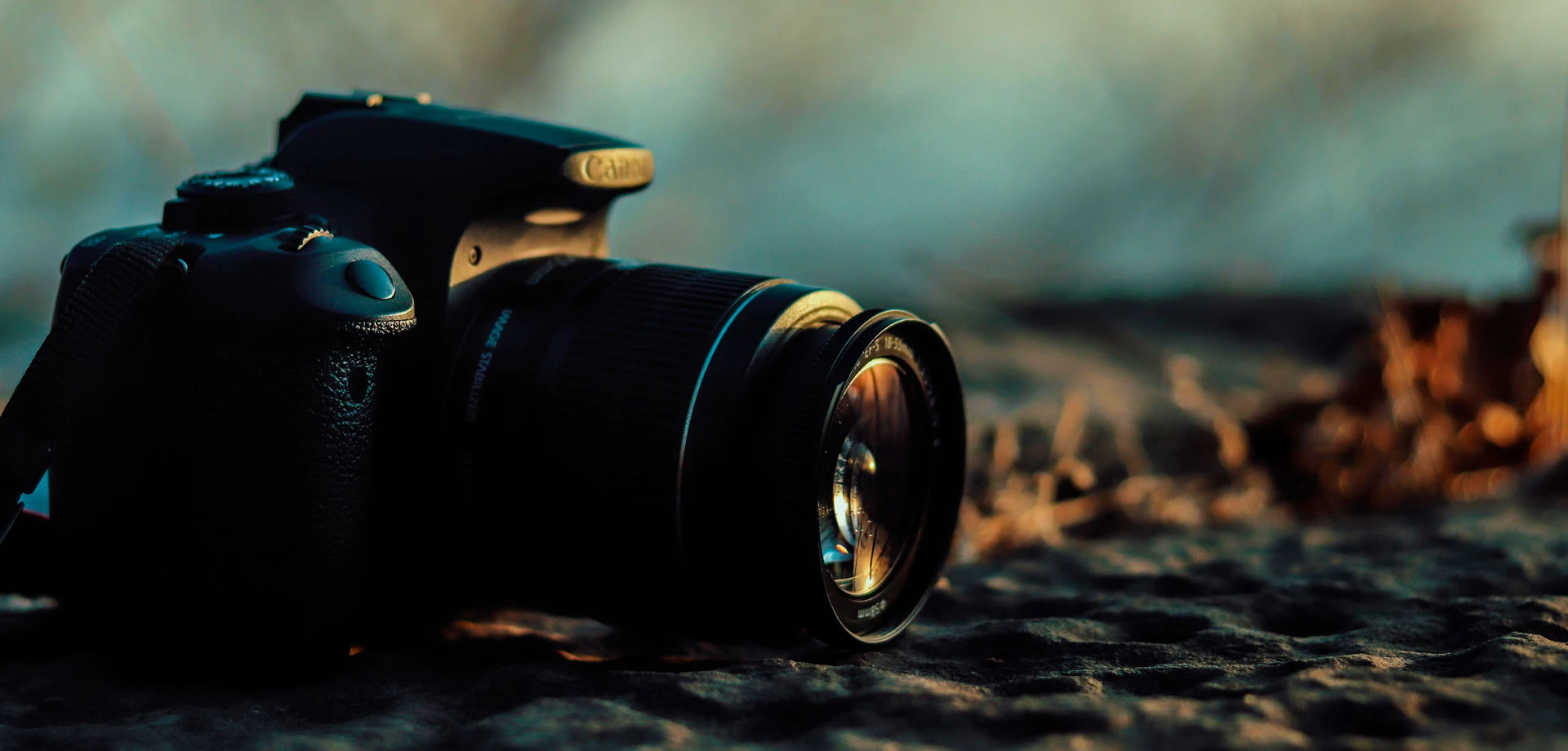 Lumière sur les ports d’Occitanie