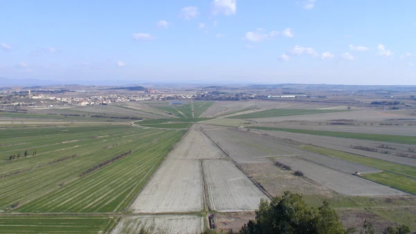 Etang de Montady-Colombiers