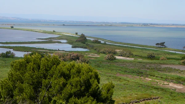 L’Île Sainte-Lucie