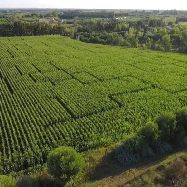 Le Jardin d’Ariane