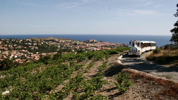 Le petit train touristique