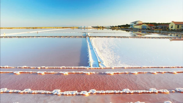 Le Salin de La Palme