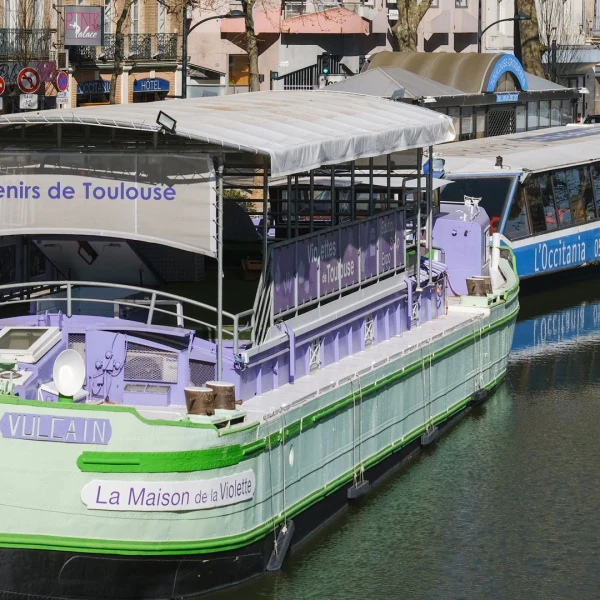 Maison de la Violette