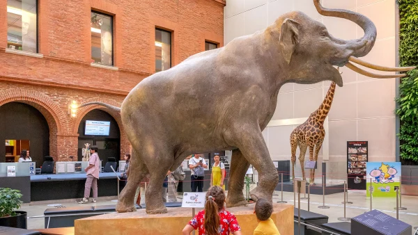Muséum de Toulouse