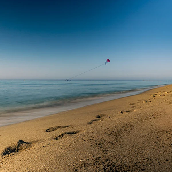 Partez pour une randonnée