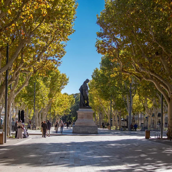 Se balader dans le centre-ville