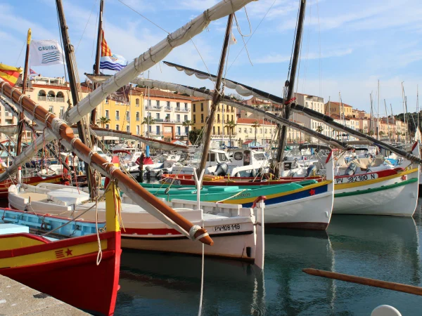 Barques catalanes en attente de ballets nautiques